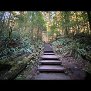 Meet your Posher, Fatma